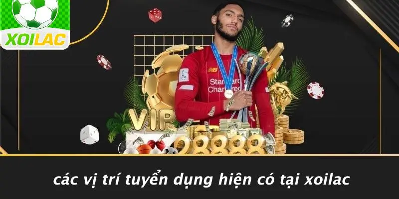 Các Vị Trí Tuyển Dụng Hiện Có Tại Xoilac