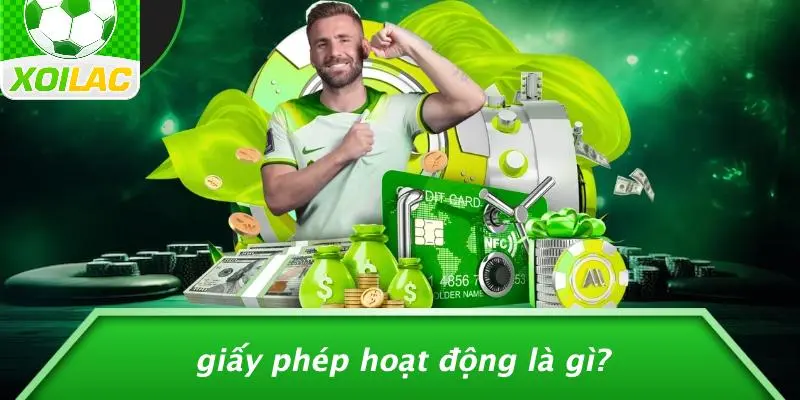 Giấy Phép Hoạt Động Là Gì?