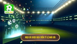 Mẹo cá cược dựa trên tỷ lệ nhà cái