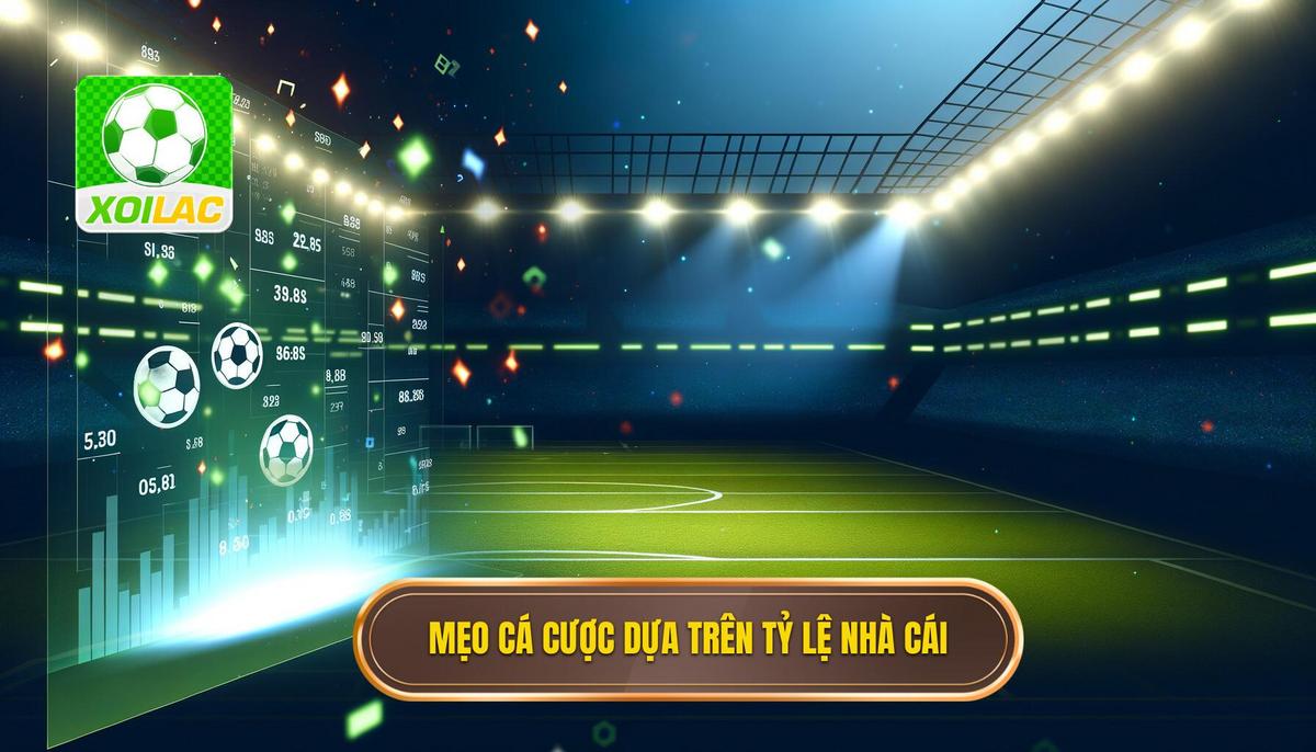 Mẹo cá cược dựa trên tỷ lệ nhà cái