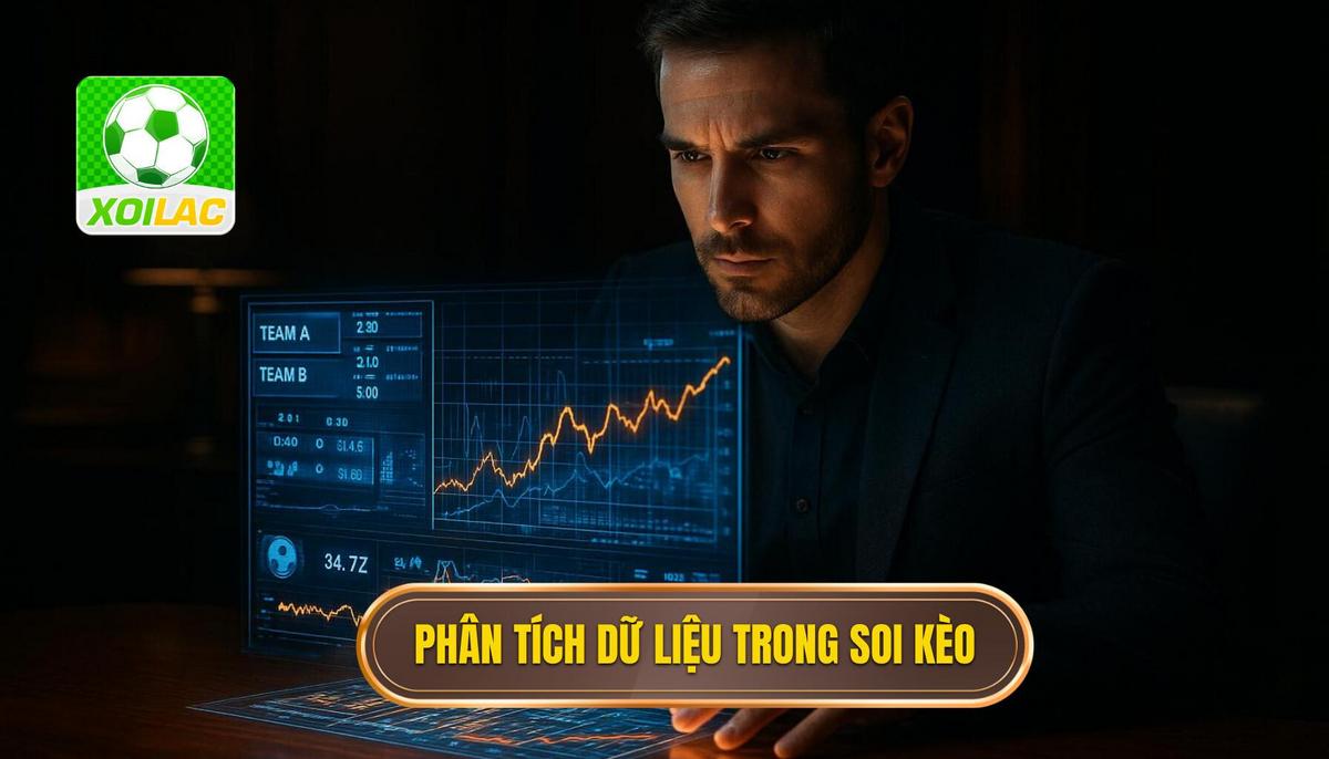 Phân tích dữ liệu định lượng và định tính trong soi kèo