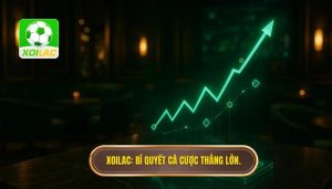 XOILAC_ Bí quyết cá cược thắng lớn.