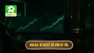 XOILAC_ Bí quyết gỡ vốn uy tín.