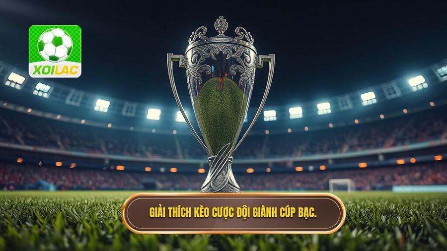 Kèo cược đội giành cúp bạc là gì?
