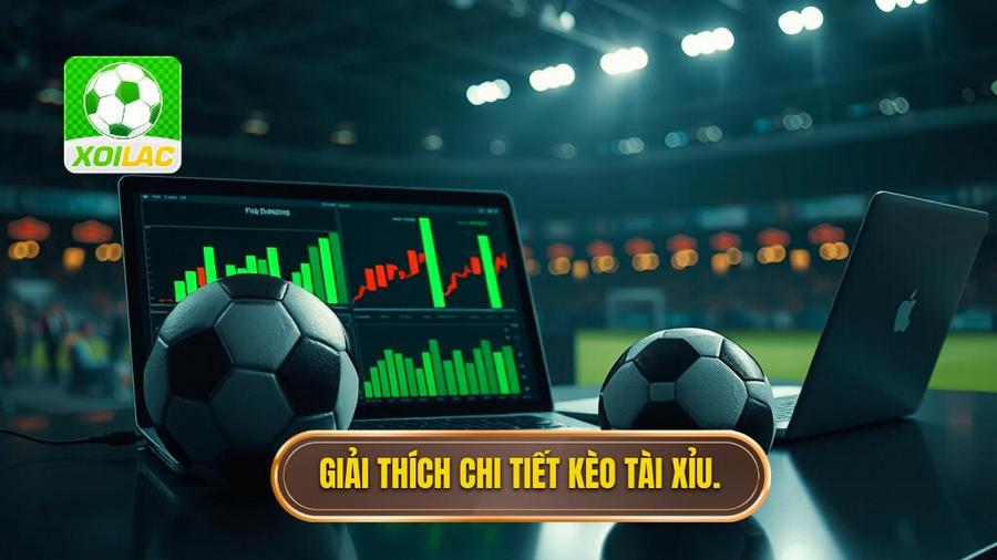 2. Giải thích chi tiết kèo Tài Xỉu.