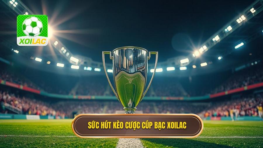Tại sao Kèo cược đội giành cúp bạc lại thu hút người chơi tại XOILAC?