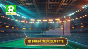 Kèo bóng đá tài xỉu: Bí quyết soi kèo và kinh nghiệm từ chuyên gia XOILAC