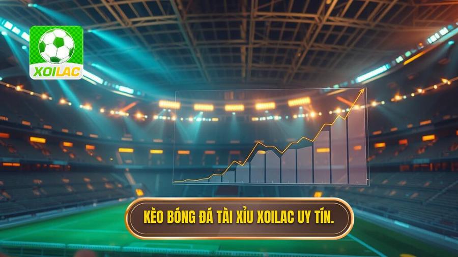 Kèo bóng đá tài xỉu: Bí quyết soi kèo và kinh nghiệm từ chuyên gia XOILAC