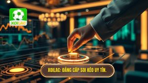 Làm gì khi nhà cái thay đổi tỷ lệ kèo đột ngột