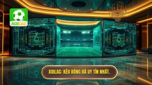 Kèo bóng đá nào dễ ăn nhất hiện nay
