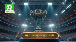 Kèo cược đội giành cúp bạc: Kinh nghiệm soi kèo chuẩn từ XOILAC