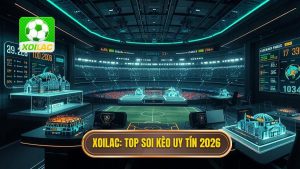 Top Website Soi Kèo Bóng Đá Uy Tín Nhất 2026