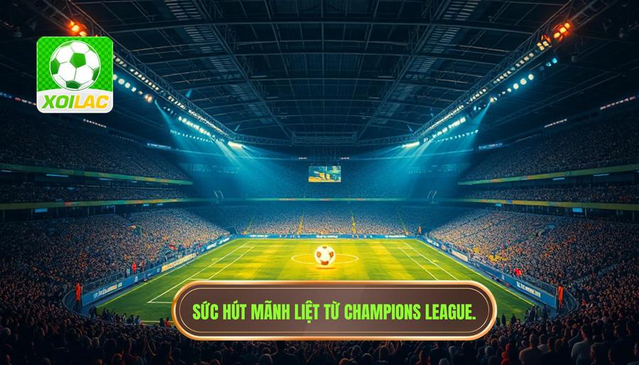 Sức hút của giải đấu UEFA Champions League và nhu cầu của người hâm mộ