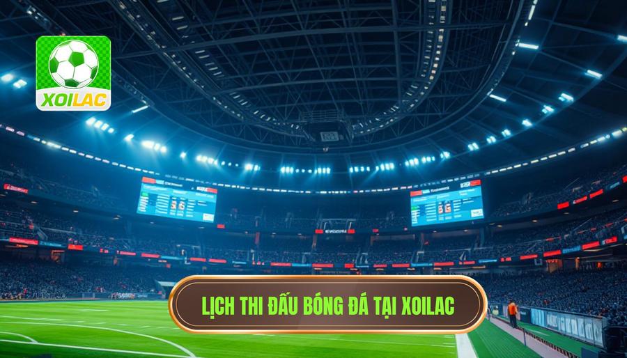 Các giải đấu hàng đầu được Xoilac cập nhật lịch thi đấu mới nhất